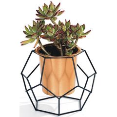 Vaso-de-Metal-e-Plastico-Cobre-Octagonal-Geo-Forms-Urban