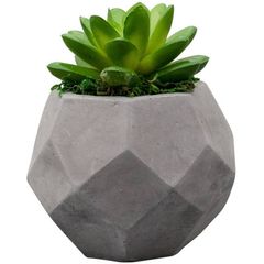 Vaso-de-Cimento-com-Cacto-II-de-Plastico-3606-Lyor