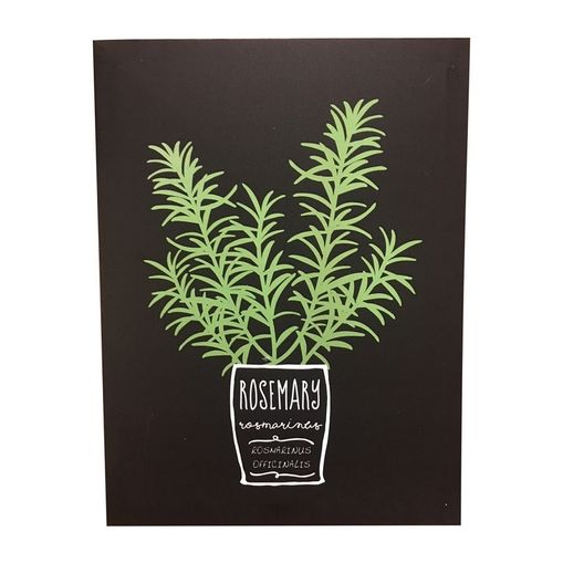 Quadro-Decorativo-Preto-Rosemary-Herbs-Urban