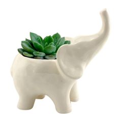 Cachepot-de-Ceramica-Branco-Elephant-Urban